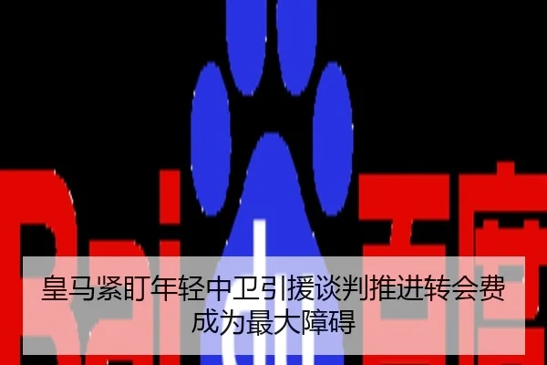 皇马紧盯年轻中卫引援谈判推进转会费成为最大障碍