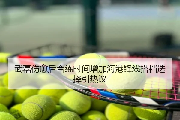 武磊伤愈后合练时间增加海港锋线搭档选择引热议